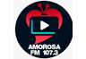Logo de Radio Amorosa En Vivo