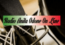 Logo de Anita Odone Radio Santiago