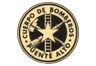Logo de Bomberos Puente Alto