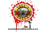 Logo de Guns N Roses Chile En Vivo