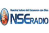 Logo de NSE Radio