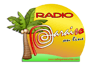 Logo de Radio Paraíso Chile