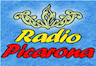 Logo de Picarona (Panguipulli)