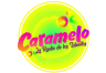 Logo de Radio Caramelo Chile Rancagua 91.3 FM En Vivo
