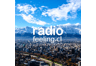 Logo de Radio Feeling
