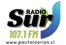 Logo de Radio Sur Mariquina 107.1 En Vivo
